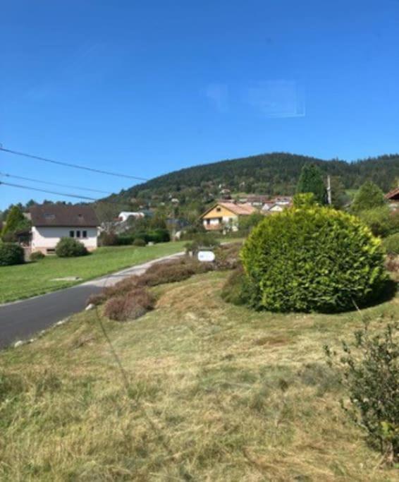 Les Deux Maisons - Little Green - Maison Cosy Proche Pistes Et Lac Gérardmer Exteriör bild